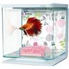 Kit de Acuario para Peces