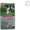 Bayer Advantix Hasta 4Kg 