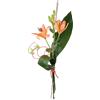 Lilium naranja