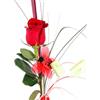 Rosa roja deluxe