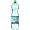 Fuente Primavera Agua Gas