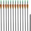 vidaXL Flechas fibra de v