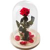La rosa encantada