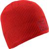 Salomon Logo Beanie