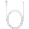 Apple Cable conector Ligh