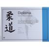 Nihon Hihon Judo Certific