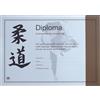 Nihon Hihon Judo Certific