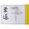 Nihon Hihon Judo Certific