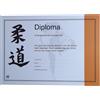 Nihon Hihon Judo Certific