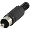 Valueline Conector Rca Ma
