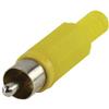 Valueline Conector Rca + 