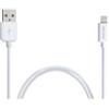 TP-Link Cable de Transmis