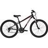 Specialized Hotrock 24 XC